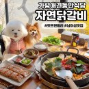 남이섬설1 | [자연닭갈비] 가평애견동반식당 뷰 좋은 남이섬 맛집 밥집 추천