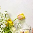 고센목장 | 셔틀랜드쉽독 루비의 고센시연요거트 먹방(가족들도 같이 먹는 무가당 강아지요거트)