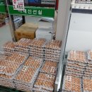 프러스마트 이미지