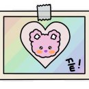 로로라핀