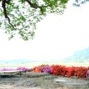 "왜 반말을 찍찍해!.. 나 대선후보인데 무시해?" 김문수 거침없는 권성동 반말들 나이도 한참 아래 이미지