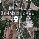 고래골농장 이미지