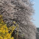 용당e편한세상 앞 이미지