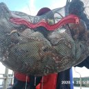 나라3호 이미지