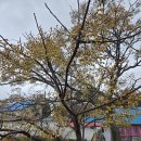 녹색한우농장 이미지