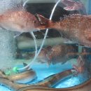 영생상가아파트1차 이미지