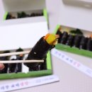 맛자랑꼬마김밥 이미지
