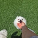 멍데이 유치원 이미지