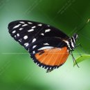 석순농장 이미지