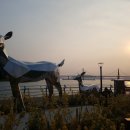 바다정원 이미지