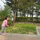 서울숲 dogs 이미지