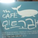 카페민트 이미지