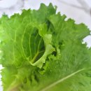 농업회사법인주식회사바른 이미지