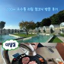 보개원삼로 | 200m 유수풀 당일치기 물놀이 추천 - <용인 리림> 내 돈 내산 이용후기