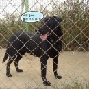 신비로-10 이미지