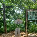 여주-1071 | 20250531 삼척 덕항산