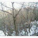 달콤언니 이미지