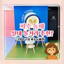 [파주실내핫플] 실내운동 &amp; 놀거리 다 되는 곳! 파주실내놀거리 짱탁구장 파주동패점 후기!
