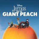 매직핑거 이미지