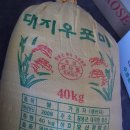 창녕쌀