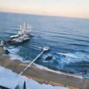 정동진회집식당 이미지