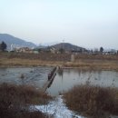 양평-용문-용문-8 Daum카페
