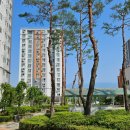 송산휴먼시아1단지아파트 이미지