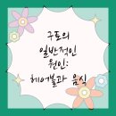 삼정동물병원 | 해운대동물병원 고양이 구토 고민 해결해봐