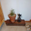 강문소소담 이미지