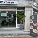 ZIV지브 이미지