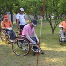 파크골프 이미지