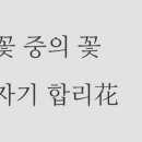 필라이프