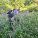습지의 학습소식(신곡초등학교 편) 이미지