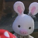 돼지토끼 이미지