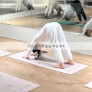 [할인](주2회)몸과 마음의 균형 잡는 테라피 요가(금) | 📌주 2회 요가 한달 하면 몸이 어떻게 변할까요? 일산 주엽동 자세교정 전문 아무브 요가