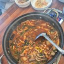 물만난 버섯 이미지