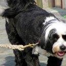 아이튼튼 동물병원 이미지