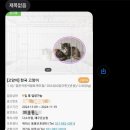 위더스동물병원 | 새로운 식구 (포인핸드 / 유기묘 입양 / 입양 절차 / 유기묘 입양 후기 / 위더스 동물보호센터)