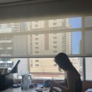 (주)엠펀펀월드 | 호주 여행 시드니 숙소 추천 이비스 월드 스퀘어 호텔 후기