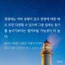 #21 책이랑 사는 이야기 왕창