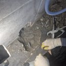 금정산업 | 금정 누수탐지 후기는 거짓말을 못해여