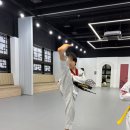 더케이 국가대표 태권도 이미지