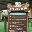 진접동물병원 | 평내동반려견놀이터 후기 올해 남양주 3개 중 2번째 개장
