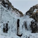 스테이 태연 이미지