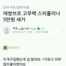 현진씨엔티