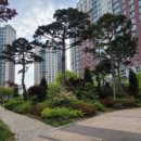 파라곤 에듀포레 이미지