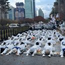 “발달장애 예산 확대해달라” 삭발·오체투지 이어 곡기 끊었다 이미지