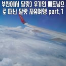 부산에서 달랏) part.1 우기인 베트남으로 떠난 달랏 자유여행
