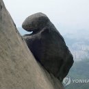 곰바위 - 강남구 | 곰바위