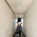 수상한발효실수국